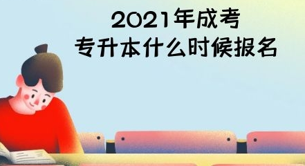 2024年成考專升本什么時候報名