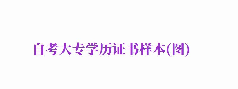 自考大專學歷證書樣本(圖)