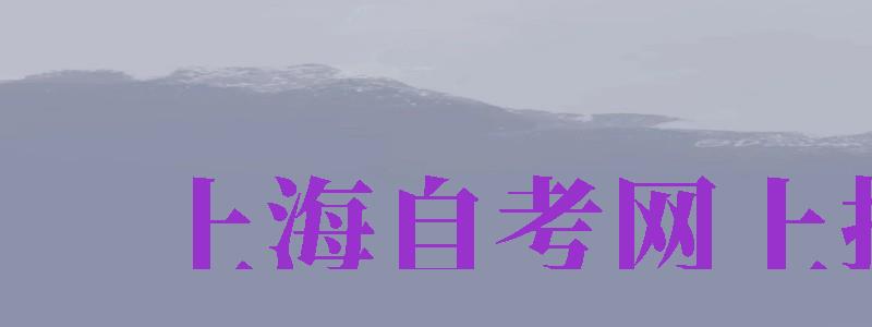 上海自考網(wǎng)上報(bào)名（上海自考網(wǎng)上報(bào)名官方網(wǎng)）