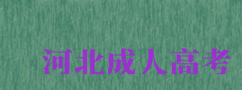 河北成人高考（河北成人高考報名時間2024年）