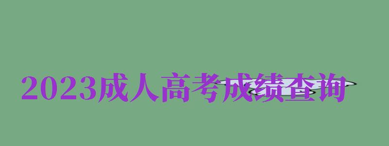 2024成人高考成績(jī)查詢（2024成人高考成績(jī)查詢官方入口）