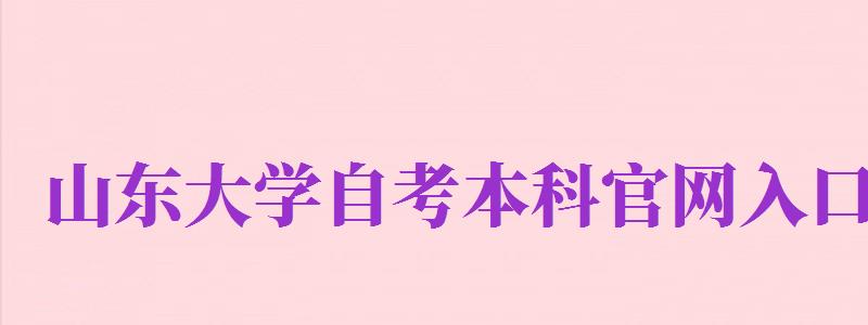 山東大學自考本科官網入口