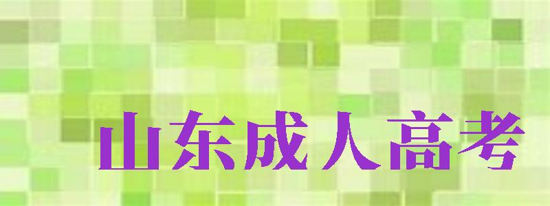 山東成人高考（山東成人高考報名時間2024年）