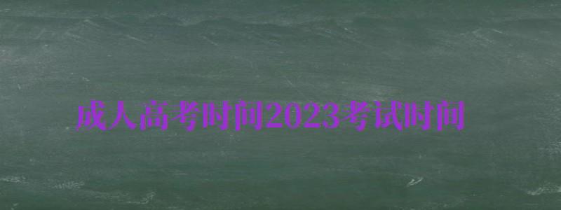 成人高考時間2024考試時間（成人高考時間2024考試時間表）