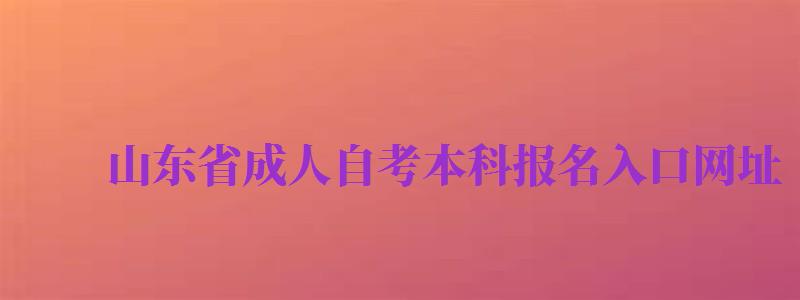 山東省成人自考本科報(bào)名入口網(wǎng)址